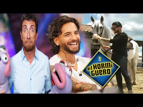 MALUMA CONFIESA en EL HORMIGUERO que le GUSTA LLENARSE de MI3RDA con SUS CABALLOS cuando LES LAVA 🐴🐴