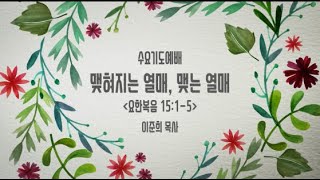 2019-08-14 맺혀지는 열매, 맺는 열매