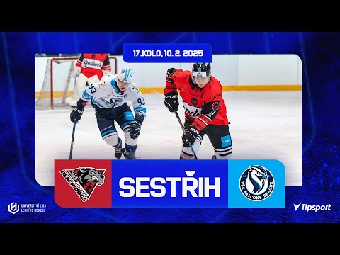 Black Dogs Budweis vs VŠE Falcons Prague 5:2 | 10. 2. 2025 | ULLH 17. kolo