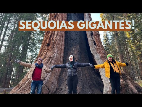 SEQUOIA National Park | REVIEW: La Quinta Inn & Suites by Wyndham VISALIA/SEQUOIA Gateway