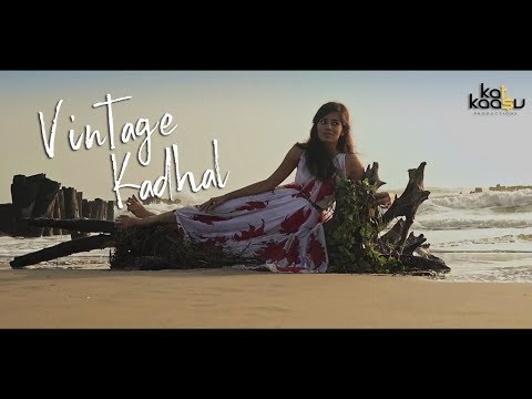 Vaishnavi  Vintage Kad...