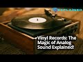 Vinyl Records The Magic Of Analog Sound Explained