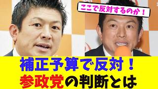 補正予算で反対！参政党の判断とは【2chまとめ】【2chスレ】【5chスレ】