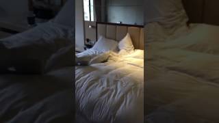 Sheraton Hong Kong Hotel & Towers Review