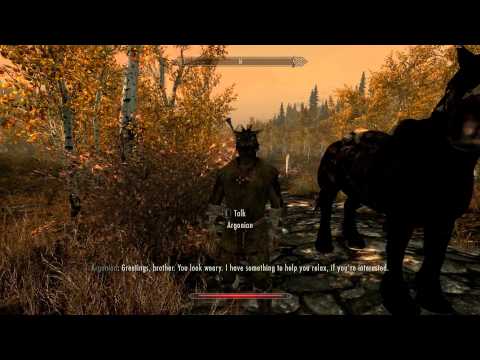 Elder Scrolls V: Skyrim Walkthrough in 1080p, Part 49: The Road to Riften (PC Gameplay)