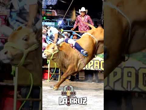 Mazatleco VS Gallo de Ixtapan | PILCAYA GRO #jaripeo #toritosdeguerrero #baile #jaripeomexicano
