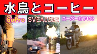 ガソリンストーブ スベア123r コーヒー & バードウォッチング スーパーカブ110