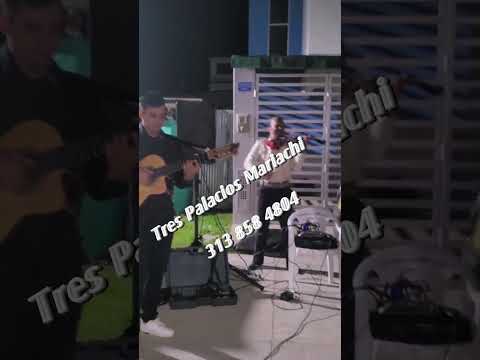 mariachi de cúcuta norte de Santander Colombia