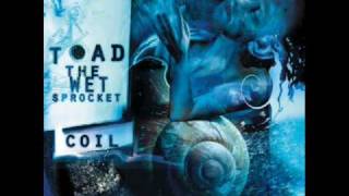 Toad the Wet Sprocket - Whatever I Fear