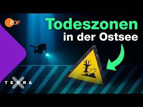 Todeszonen – Warum geht der Ostsee der Sauerstoff aus | Terra X plus