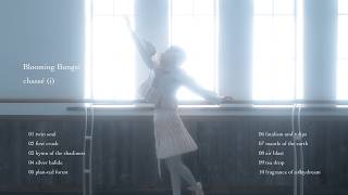 Download lagu シャッセ(ⅰ) ambient works  [Instrument Arranged Album]  Piano & Guitar mp3