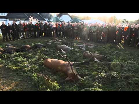 Darz Bór zapowiedź odcinka 122