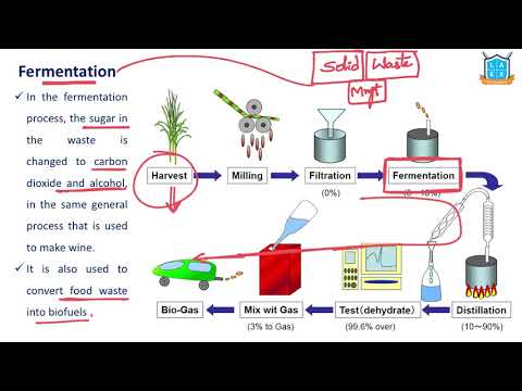 What is Fermentation ? || Fermentation అంటే ఏమిటి?