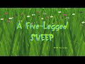 Oggy And The Cockroaches A Five Legged SHEEP Credit Cards