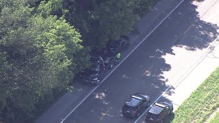 RAW: Hwy 79 closed after driver killed by tree branch