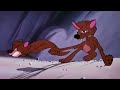 Pluto Sheep Dog Mp4