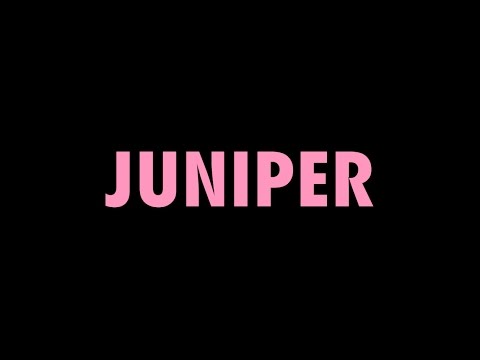Begonia - Juniper (lyric video)