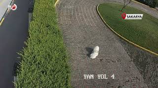 Valilik Konağı'ndaki Köpek Ölümü Olayının Görüntüleri Ortaya Çıktı