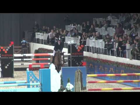 Falco Van de Noordhoek (webstallions.com)