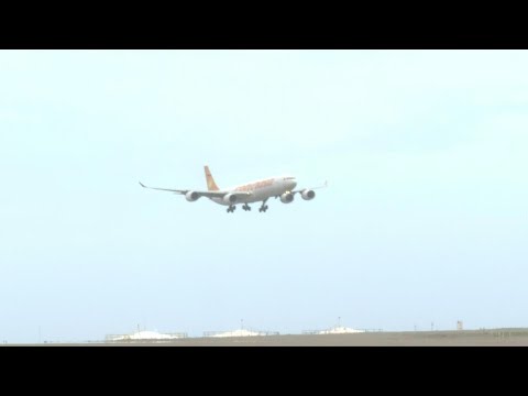 Repatriation flight with more than 300 Venezuelan migrants lands in Venezuela | AFP
