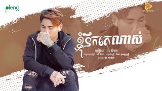 SeyHa-ខ្ញុំនឹកគេណាស់ | Nhom Nik Ke Nas ( Official Audio )