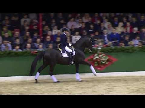 MILLENNIUM - www.gestuet-sprehe.de