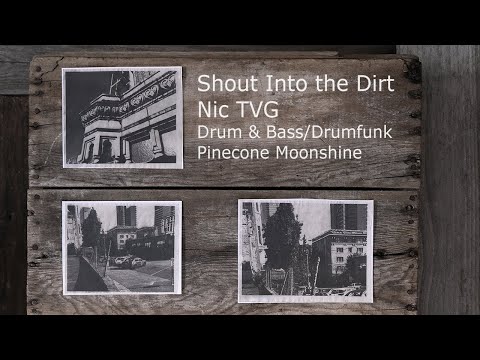 Nic TVG - Shout Into the Dirt