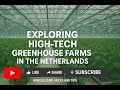 Exploring High Tech Greenhouse Farms In The Netherlands