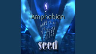 Seed Music Video