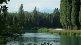 preview picture of video 'Lungo le rive del Mincio'