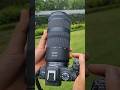Canon RF 100 400mm F 5 6 F 8 USM Lens Video Test Canon Canon Canonrf Rf100 40mm Wildlife