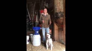 Agristore USA Electric Grain Grinder