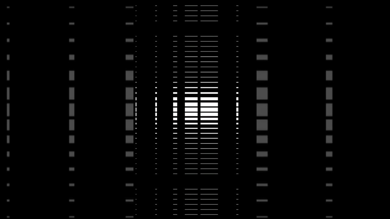 #Genuary, day 30: Shader #generativeart #visualart #creativecoding #glsl #opengl #shader #shaderart