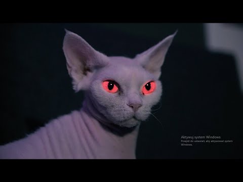 PROLEJ - feniks ft. IWAN (Official Video)