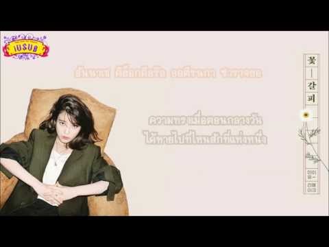 [Thai Karaoke & Thai sub] IU - Dreams Of Summer Night (여름밤의 꿈)