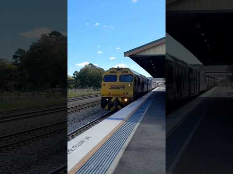 Nice hornshow from SSR RL class