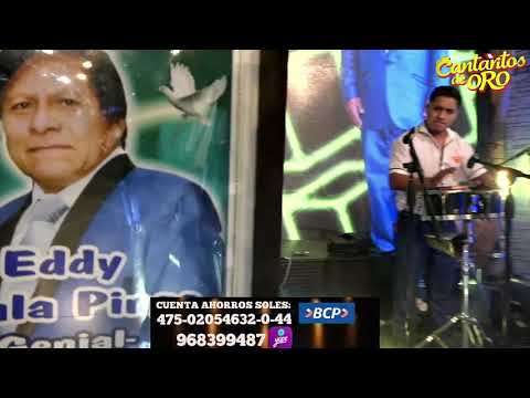 CANTARITOS DE ORO - COLLAR DE LAGRIMAS (HOMENAJE A EDDY AYALA PINGO)