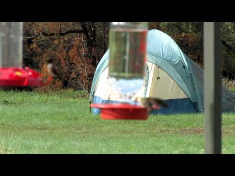 Hummingbird feeders at the Davis Mountains Preserve