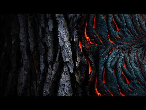 Onde vais (Para que serve o Amor)@