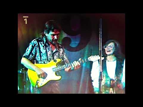 LP VINYL Někdy Si Zpívám Sometimes I sing to myself 1991.