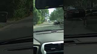 tq ft p nut &amp; the Gigis liteskin freckleface