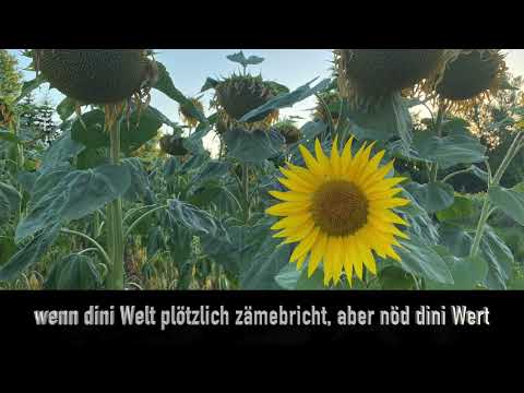 EPIPHANIX feat TMC RIES Zuevesicht