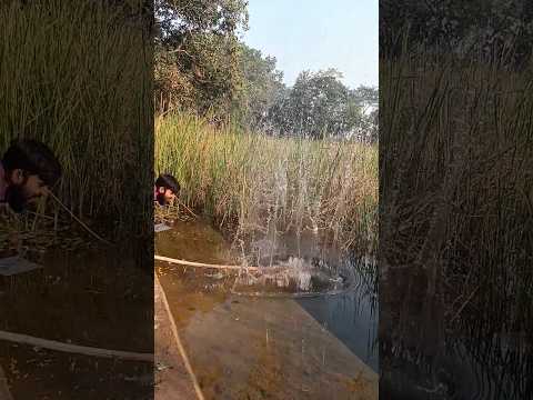 Wooow 😮 #music #beats #typebeat #viralshort #slowmotion #shortvideo #shorts #viralvideo