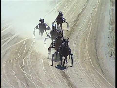 prova di qualifica 3 anni 25 maggio 2020 Follonica