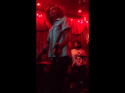 The growlers pet shop eyes