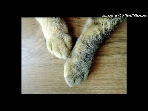 Dj Shabayoff feat. Magix Music Maker - Kick, Bass & Melody (Special For Kucher Mix)