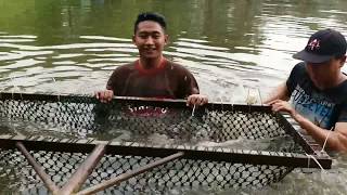preview picture of video 'Lubana sengkol / Arapaima / big fish strike'