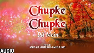 Chupke Chupke Dil Mein song artwork