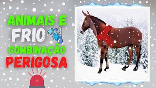 I HAD TO GET THE MULE IN A HURRY!