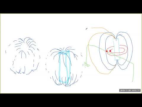 2019 11 29 PM Public Teaching in Bengali - বাংলায় পাবলিক শিক্ষা